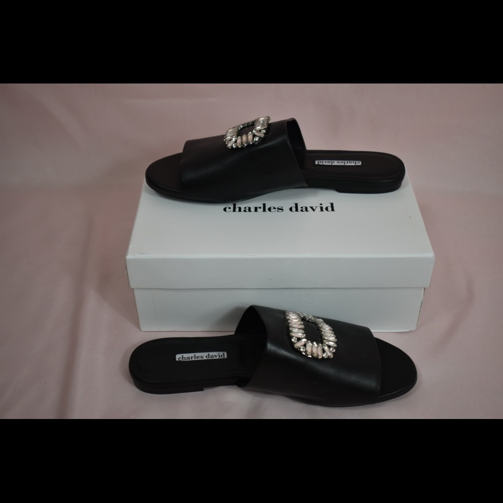 Brand new, never worn Charles David sandal.